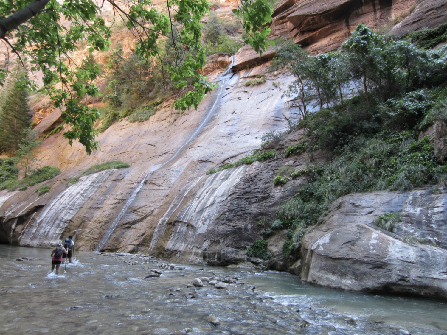 USA_Zion_A_082